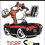 Tigre Som